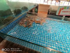 -香山湖家家宴(中山陵店)