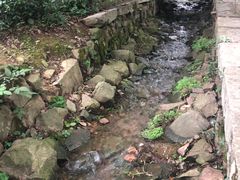 -雨花胜境