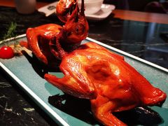 红烧乳鸽-大鸽饭(北京路店)