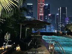 -深圳星河丽思卡尔顿酒店