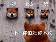 -Mr.P's无国籍料理