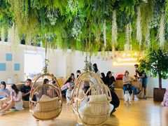 -Husky Go! 哈士奇体验馆·宠物咖啡厅狗咖