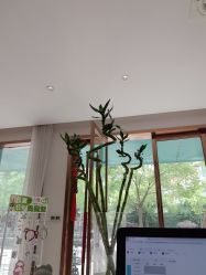 点击看大图 -Dr.林醫生产后修复·配方产康店(南京大厂店)