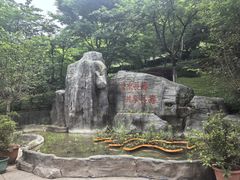 -南山植物园