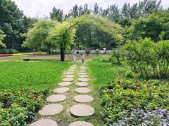 -黑龙江省森林植物园