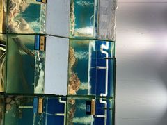 -胖大嫂渔家排档·全海景餐厅(渔村店)