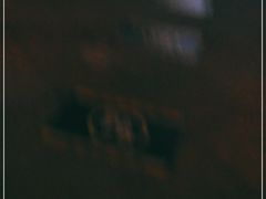 -重庆国际马戏城
