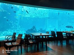 -海棠湾洲际-涛·海底餐厅·美人鱼·自助餐·海底隧道