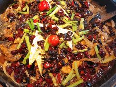 -老板恋上鱼(恒隆广场店)