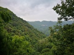 -藏龙百瀑风景区