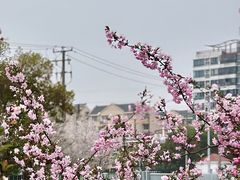 -大宁公园