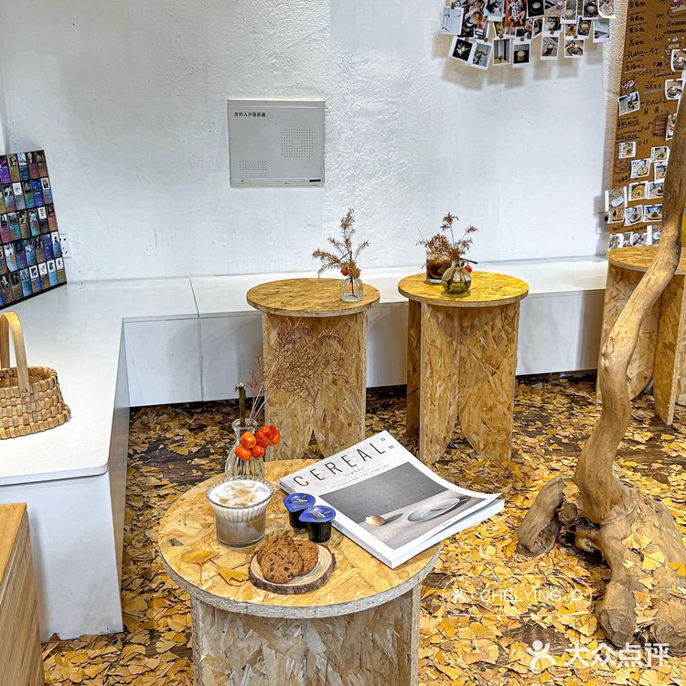 佛山探店🍂静静享受惬意的咖啡时光☕️