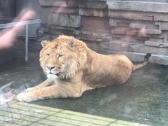 -宁波野生动物园