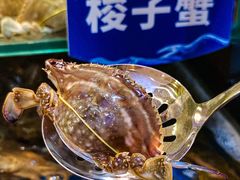 -亚马逊蒸汽活海鲜自助(LCM置汇旭辉广场店)