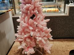 -奈雪的茶(石家庄万象城店)