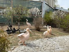-齐齐哈尔龙沙动植物园