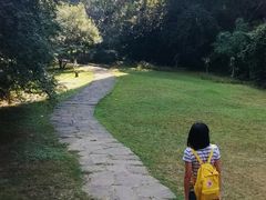 -武夷山风景名胜区-虎啸岩