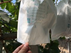 -美家乐农庄·露营·团建(大治路店)