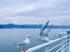-海埂大坝