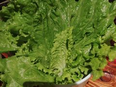 -仓库烤肉(绿园店)