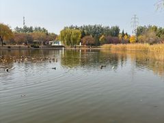 -太阳宫公园