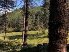 -硗碛藏寨·神木垒景区