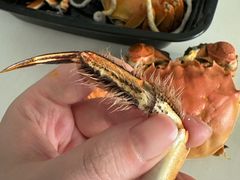 -黄记大闸蟹专卖店·活蟹·醉蟹