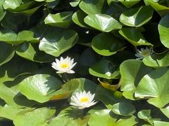 -沈阳植物园