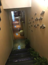 -唯伊美塑身美养连锁