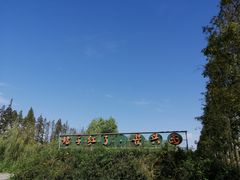 -前小桔亲子创意农场·草莓采摘·露营烧烤