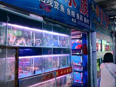 -朝来春花卉市场