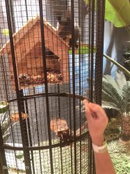 -酷嗒动物文化乐园(cutezoo西溪乐天城店)