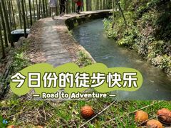 -云栖竹径