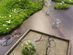 -大视光学•LINDBERG林德伯格•全球手工眼镜集合店(王府井店)