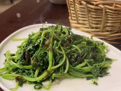 -南山竹海·珍味堂