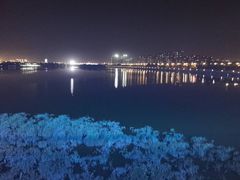 -灞河西岸滨河公园