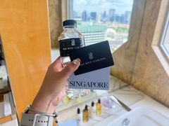 -新加坡丽思卡尔顿美年酒店