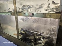 -小乡小镇·传承桐庐土菜·老板亲自烧的菜