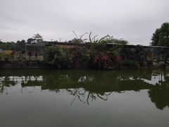 -荔枝红五号农庄