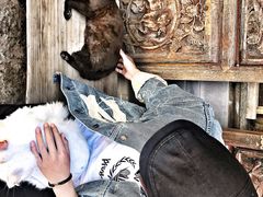 -喵屿·大理花园猫咖