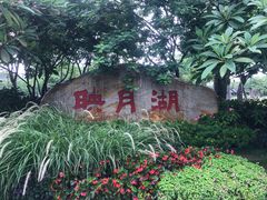 -映月湖公园