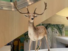 -陕西自然博物馆