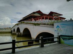 -大湾区中央湿地公园