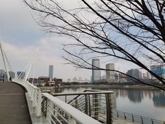 -映月湖中央公园