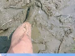 -中国天府农业博览园