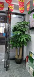 -资医堂·除疤祛痘祛斑