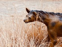-周口店北京人遗址公园