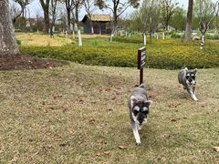 -上海长兴岛郊野公园