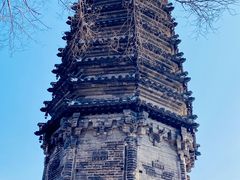 -高尔山公园
