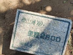 -梧桐山风景名胜区